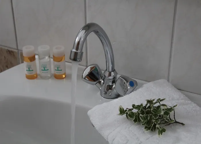 Atira Olympiakí Aktí